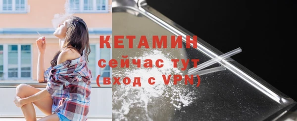 крисы Мегион