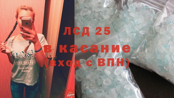 крисы Мегион