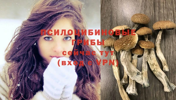крисы Мегион