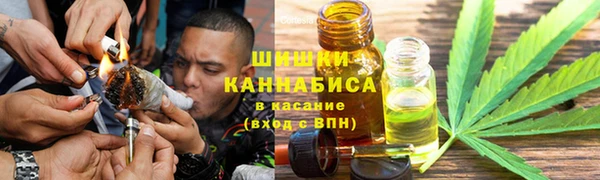 крисы Мегион