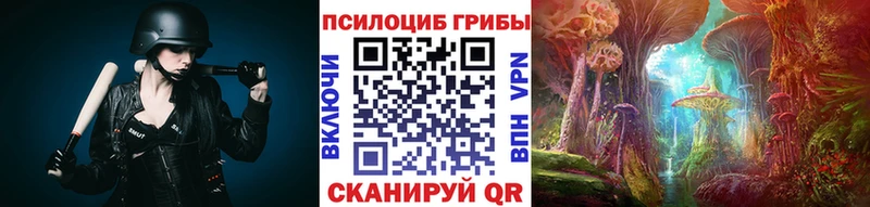 Псилоцибиновые грибы MAGIC MUSHROOMS  OMG маркетплейс  darknet Telegram  Тында 