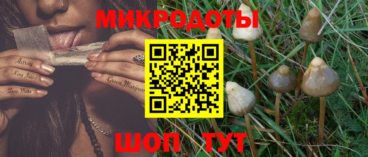 Галлюциногенные грибы MAGIC MUSHROOMS  Галлюциногенные грибы Psilocybine cubensis  Вход с VPN  Тында 