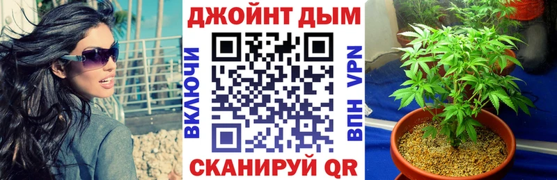 Бошки марихуана марихуана  купить   Тында 